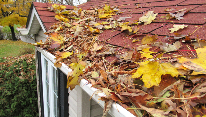 Fall Home Maintenance Tasks